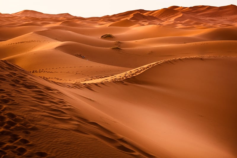 Thar Desert, India